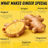 16.23 Oz (480ml) Basic Ayurveda Ginger Juice | Fl | First Press Virgin Extract | Supports Digestion & Vitality | Raw