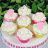 24 Count Royal Icing Decorations, Baby Girl, Gender Reveal Party, Baby Shower Edible Kosher Decorations for Cakes