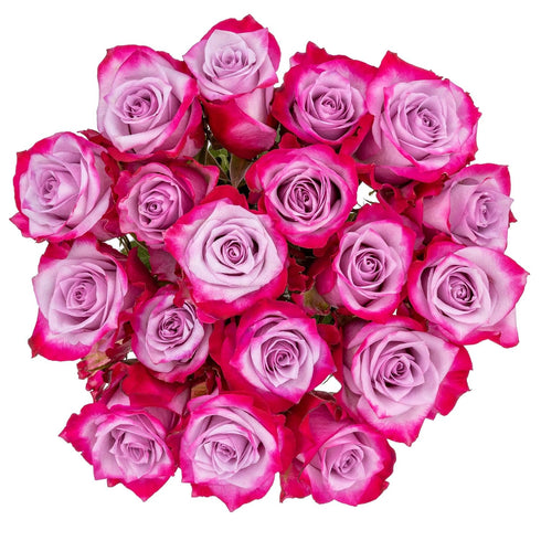 Falcon Farms Inc 18 Lavender Rose Bunch - .