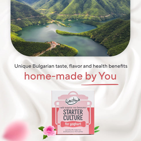 10 Bulgarian Yogurt Starter Culture Natural Probiotic Yogurt Culture Starter Homemade Yoghurt Starter Liters