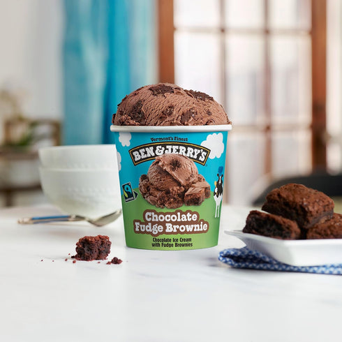 Ben & Jerry's 16 oz Ice Cream Chocolate Fudge Brownie