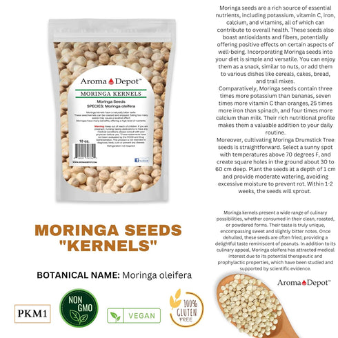 4 oz. Moringa Seeds KERNEL Shelled Clean - 100% Natural Superfood, Rich in Vitamins, Edible Seeds