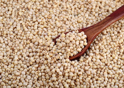 6 Food to Live Gluten Free Organic Whole Grain Sorghum, Pounds Non-GMO White Groats. Raw Milo Seeds. Vegan, Bulk