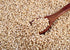 1 Food to Live Gluten Free Organic Whole Grain Sorghum, Pound Non-GMO White Groats. Raw Milo Seeds. Vegan, Bulk