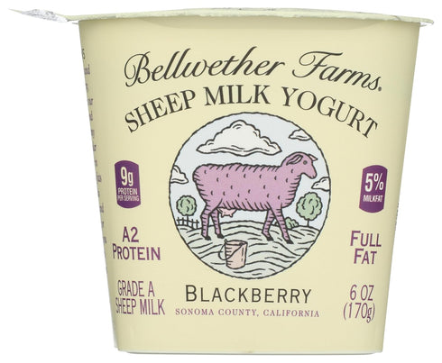 Bellwether Farms Blackberry Sheep Milk Yogurt, 6 OZ