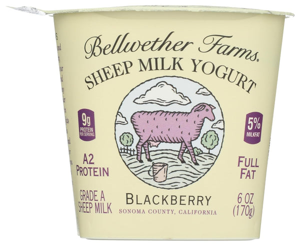 Bellwether Farms Blackberry Sheep Milk Yogurt, 6 OZ