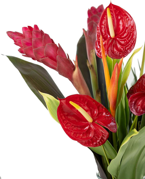 Generic Fresh Orchids and Tropical Flower Bouquet, Red Anthuriums, Red Ginger, Heliconia, Mixed Foliage, Hawaiian