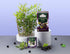 20 Count (Pack 6) Ahmad Tea Blackcurrant Burst