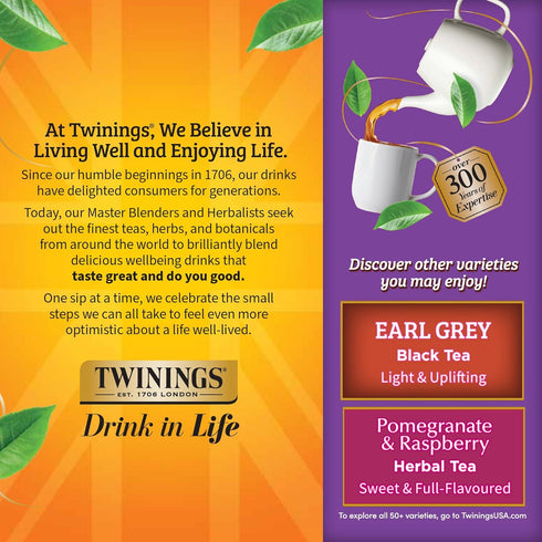 100 Count (Pack 1), 100 Twinings Blackcurrant Breeze Black Tea Individually Wrapped Bags, of Sweet, Tangy Taste