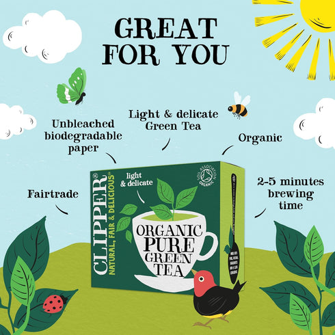 Clipper 80 (Pack 3, 240 Pure Green Teabags of Total Teabags)