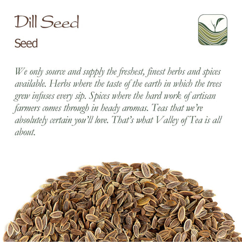 Organic Dill Seeds - Fresh Spice for Cooking, Dill Tea 200g