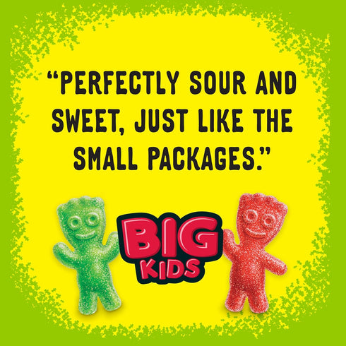 Gummy 12 Oz Sour Patch Kids Big Kids Soft & Chewy Candy, Share Size