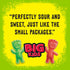 Gummy 12 Oz Sour Patch Kids Big Kids Soft & Chewy Candy, Share Size