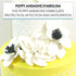 3 Count Global Sugar Art Poppy Anemone Sugar Cake Flowers White with Black Center, by Chef Alan Tetreault