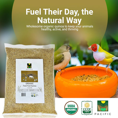 Packed 2Lbs Pacific Organic Petfood Organic Feed Quinoa | Rich with Fiber & Minerals | USDA and CCOF Certified | in USA