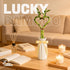 12" Heart Shaped Lucky Bamboo - Live Indoor Plant, Double Stalk Heart Arrangement - Ideal Gift for Birthday