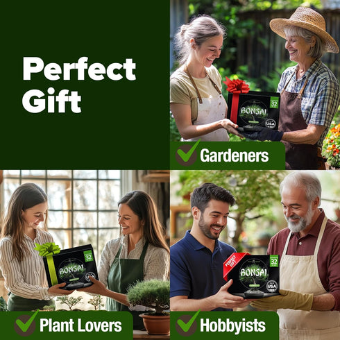 4 Bonsai Tree Kit Gifts for Men & Women - Grow Bonsai Trees - Unique Gardening Crafts for Adults, DIY Hobbies for Plant