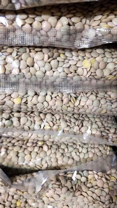 Unknown Green Lentil (Yesil Mercimek)