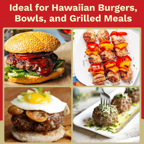 1.5 oz Packet (Pack 12) NOH Hawaiian Style Teri-Burger Seasoning Mix, of - Easy-to-Use Hawaiian Teriyaki Burger