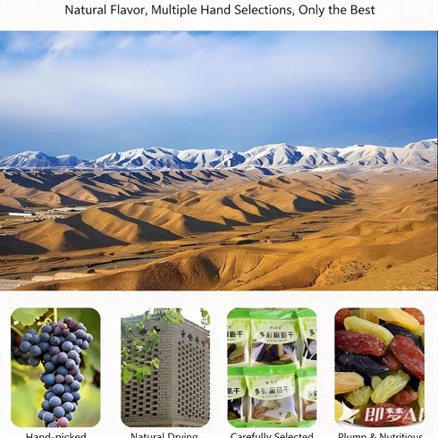 KLYso 4 Vegan(9g*80 packs.) Premium Colorful Seedless Raisins Individually Wrapped - Flavors Mix Healthy Snack No Added