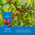 1.5 oz (18 Packs) Sahale Snacks California Dry Roasted Almonds, Grab & Go Bags - Dry-Roasted Almonds with a Touch