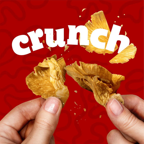 Nutrient-Packed, 2 Oz (3 Pack) EVIL SNACKS Crunchy Mushroom Chips - Original, Non-GMO Project Verified, Plant-Based