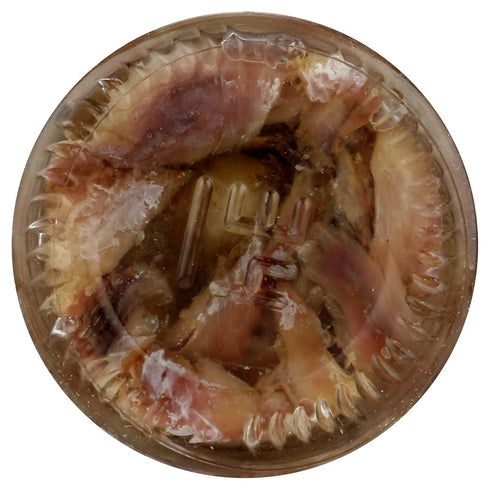 1.5 Oz Crown Prince Flat Fillets of Anchovies in Olive Oil