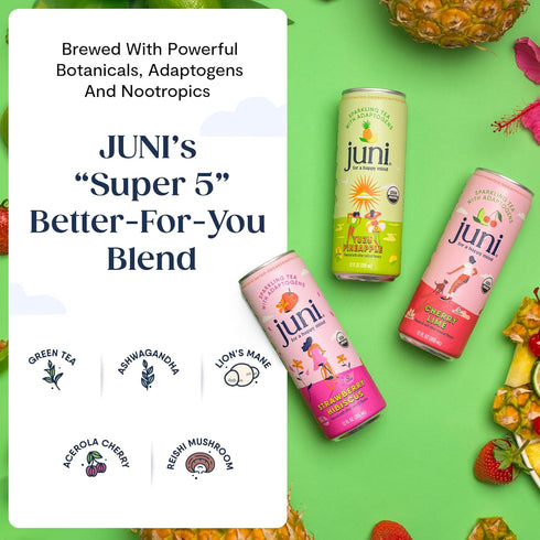 5 Pack (12 Pack) Juni Sparkling Adaptogen Drink with Ashwagandha, Lions Mane & Reishi Mushrooms | Green Tea for Focus