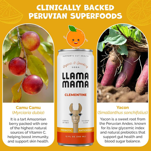 Immune 12 Pack Llama Mama Clementine Organic Sparkling Prebiotic Soda Gut & Support High Vitamin C, Antioxidants NO