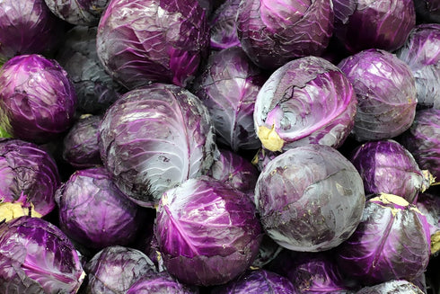 RawJoy Pack 4 Fresh Organic Red Cabbages by Farms