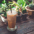 Creme De La Earl Loose Leaf Black Tea, Madagascar Vanilla & Pure Bergamot, Caffeinated, 8oz, The Spice Hut