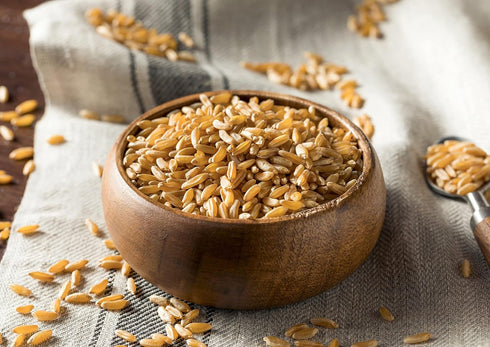 10 100% Food to Live Organic KAMUT Khorasan Wheat Berries, Pounds Whole Grain, Sproutable for Wheatgrass, Non-GMO