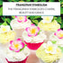 24 Count Count Global Sugar Art Tropical Frangipani Plumeria Edible Sugar Flower Blossoms, Wedding Cake & Cupcake