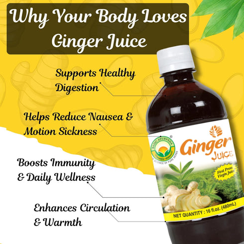 16.23 Oz (480ml) Basic Ayurveda Ginger Juice | Fl | First Press Virgin Extract | Supports Digestion & Vitality | Raw