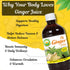 16.23 Oz (480ml) Basic Ayurveda Ginger Juice | Fl | First Press Virgin Extract | Supports Digestion & Vitality | Raw