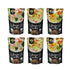 Pack- Paleo-Friendly(9.52 oz, 6 Packs) Hethstia Shirataki Noodle Low-Carb Pasta and Rice Variety Spaghetti, Fettuccine