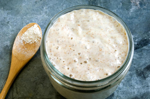 Natural Whole Wheat Sourdough Starter Culture - Bakerdale Dehydrated