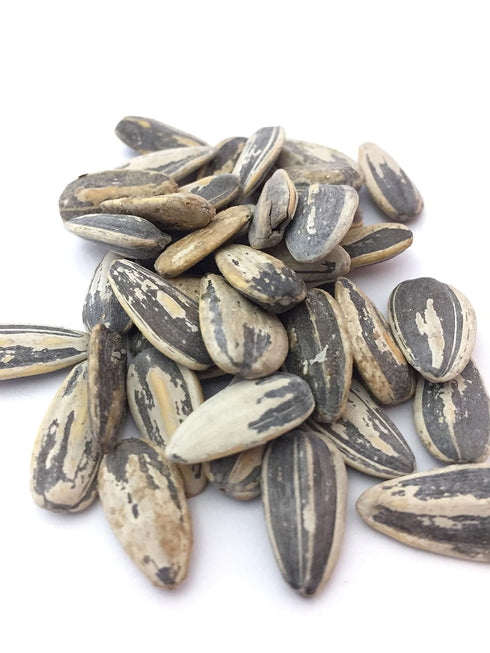Bricktown Goods 3 Pack 24 oz Salt and Balsamic Vinegar Flavored Sunflower Seeds - - Boldly Seasoned and Roasted
