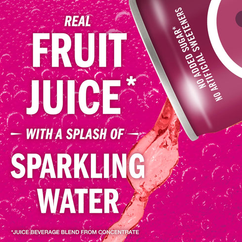 8.4 OZ, 24 IZZE Sparkling Water Juice Beverage Blend, Blackberry, No Sugar Added, FL Cans