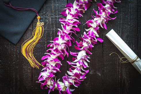 Vibrant Purple Sonia Orchid Lei - Fresh Tropical Dendrobium