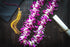 Vibrant Purple Sonia Orchid Lei - Fresh Tropical Dendrobium