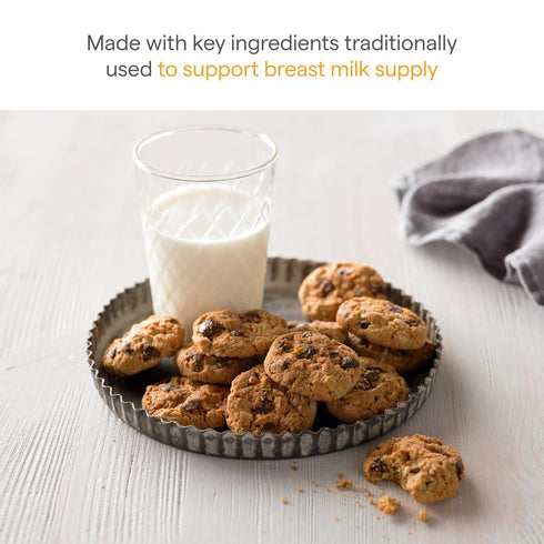 10 Munchkin Milkmakers Lactation Cookie Bites, Oatmeal Chocolate Chip, Ct