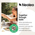 (500ml) Neolea Easy-Pour Extra Virgin Olive Oil For the Plate Early Harvest, High Polyphenol Fruity & Grassy