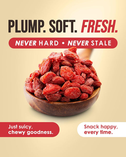 2 lb/32 oz Nutrient Elements Goji Berries USDA Organic, Raw, Sun-Dried, Hand-Picked Extra Large Dried Berries