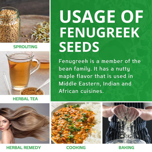 7 Jiva Organic Fenugreek Seeds Ounce Non-GMO, Gluten Free, All Natural Fenugreek Spice Organic Fenugreek Seeds for Hair