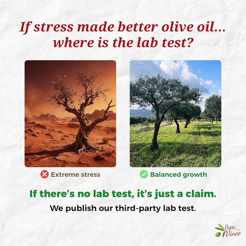 2024/25, Papa Vince Hydroxytyrosol Lab-Verified Olive Oil - Drinking EVOO, Fresh Taste, High in Polyphenols, First Cold