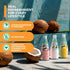 Pack 12 Count 9.8 oz Kuii Coconut Milk Drink Variety with Original Coconut, Strawberry & Mango Flavors Refreshing
