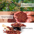 Yimi Sichuan Szechuan Peppercorns, Grade AAA Whole Red Peppercorn, Strong Flavor for Mapo Tofu, 2.1 oz