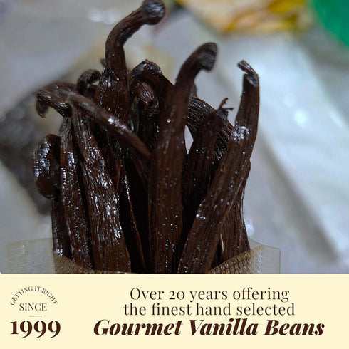 25 ~6-8 inches Whole Vanilla Beans Grade A ++ | Premium Vanilla Bean Pods for Making Extract | |NON GMO. Perfect
