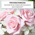 3 Inch, 9 Count Global Sugar Art Peace Rose Sugar Cake Flowers, Pink by Chef Alan Tetreault